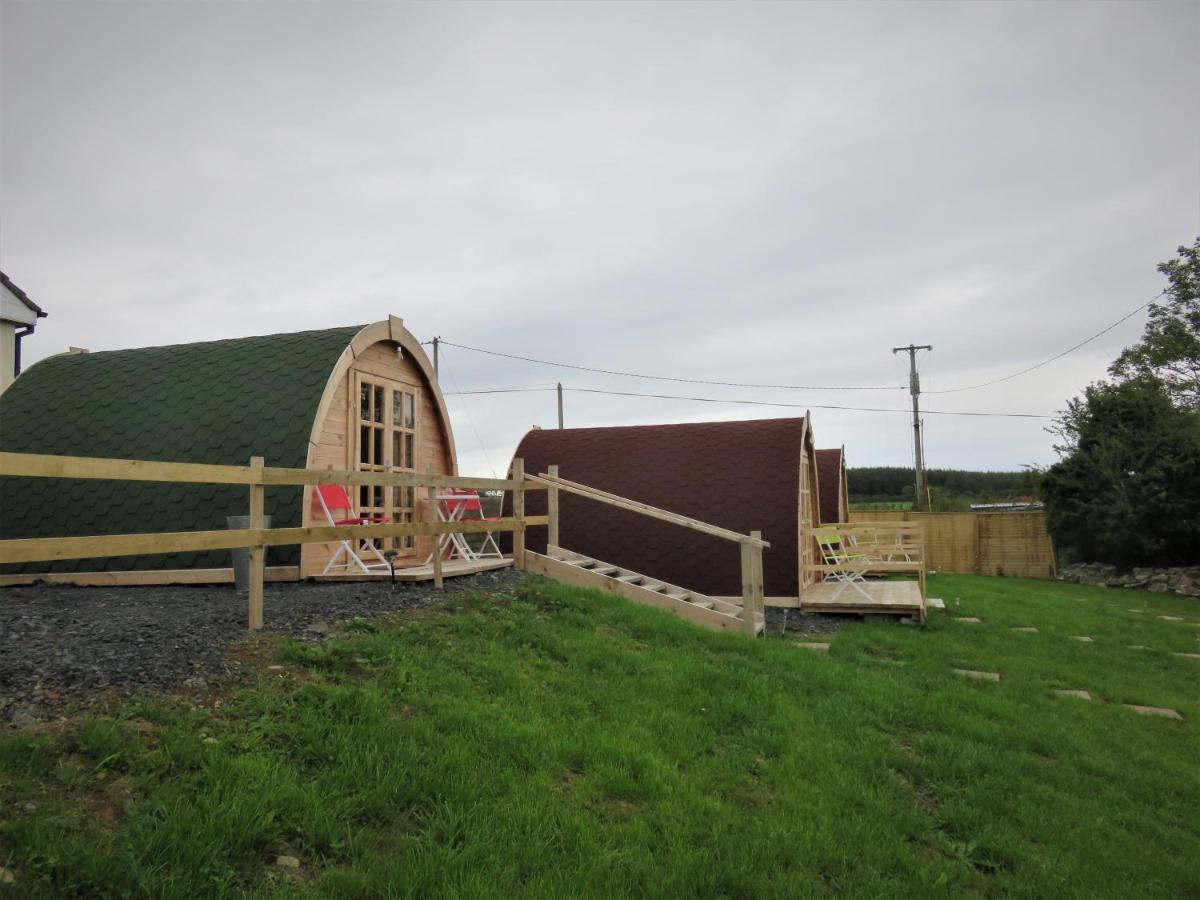 Shannon Estuary Glamping Effernan Exterior foto